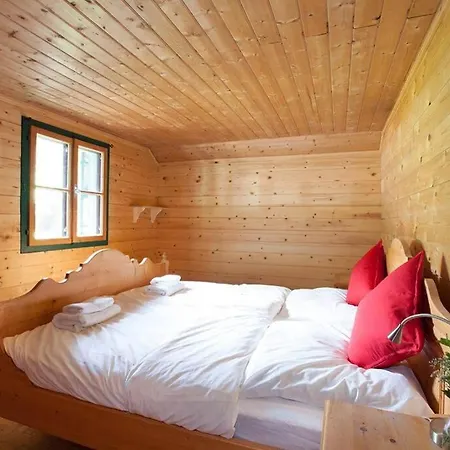 Ski- Und Sommer-chalet Fuer 10 Personen In *