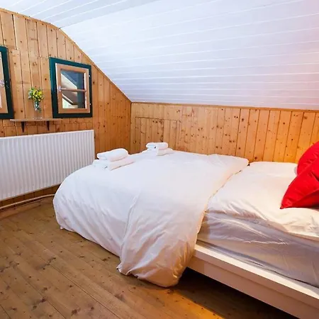 Ski- Und Sommer-chalet Fuer 10 Personen In *