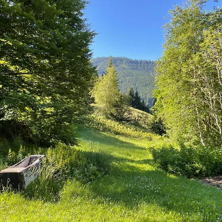 Шале Ski- Und Sommer-chalet Fuer 10 Personen In *