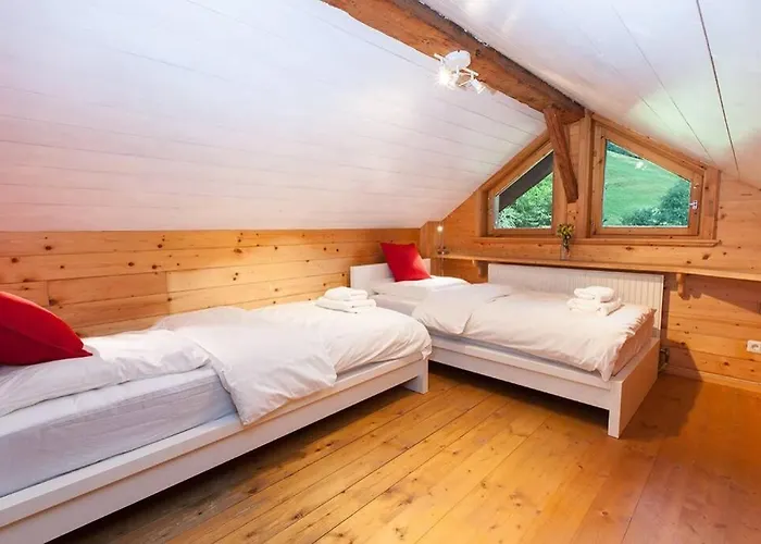 木屋 Ski- Und Sommer-chalet Fuer 10 Personen In *