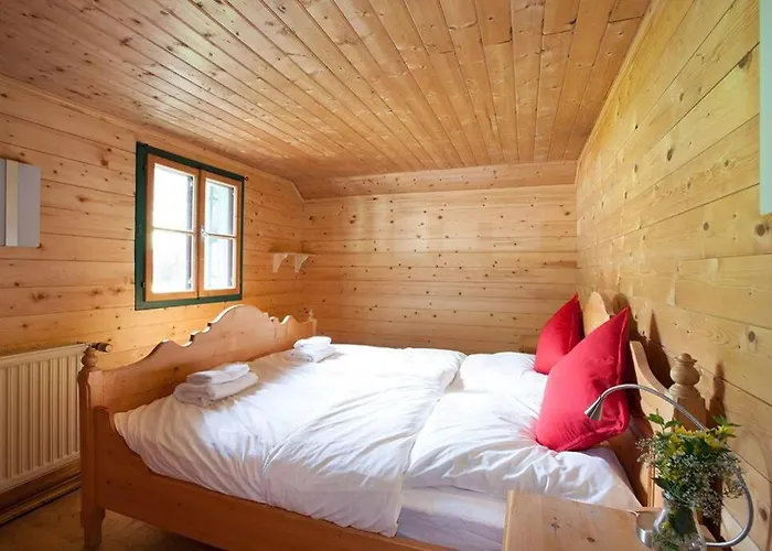 Ski- Und Sommer-chalet Für 10 Personen In *