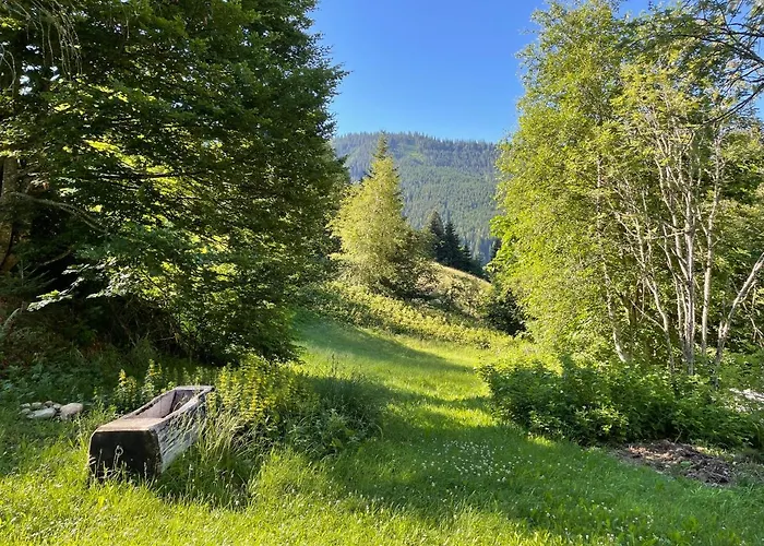 木屋 Ski- Und Sommer-chalet Fuer 10 Personen In *